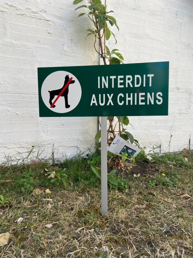 Pauvert Service (10)